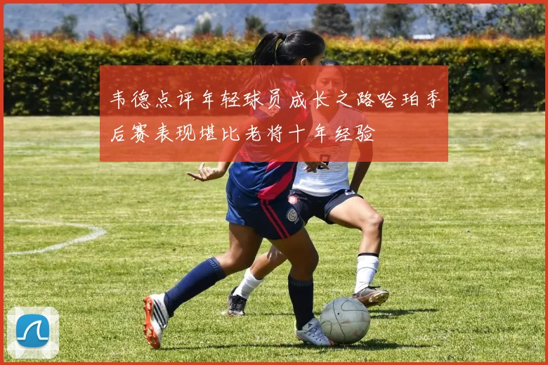 韦德点评年轻球员成长之路哈珀季后赛表现堪比老将十年经验